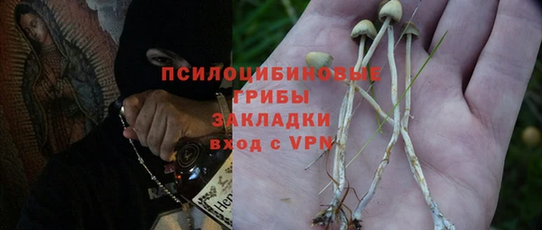 круглые Алексеевка