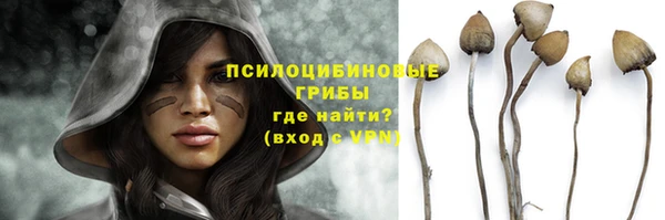 круглые Алексеевка
