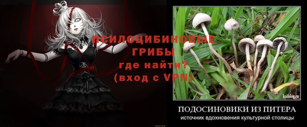 круглые Алексеевка