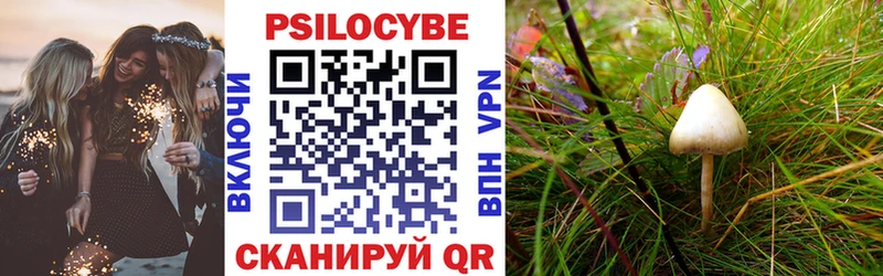 Псилоцибиновые грибы мицелий  где купить наркоту  Трубчевск 